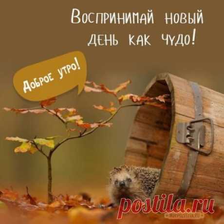 Каждый день... он особенный... 
Ведь мы открываем для себя что-то то новое!  
Или попробовали что - то особенное... например , кофе с новым вкусом,  тоже особенным!  
Или получаешь новые ощущения от чего - то,  давно знакомого тебе !