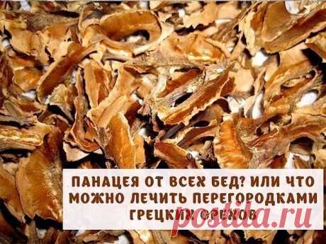 Съешь 5 орехов и подожди 4 часа: вот что произойдет с твоим организмом!
Грецкому ореху по праву присвоено звание суперпродукта. Витамины A, B1, В2, В12, В15, С, К, Е, РР, каротин, дубильные вещества, ситостероны, хиноны, линоленовая кислота, галлотанины, юглон, фитонциды, а также фосфор, калий, магний, кальций, сера, железо, марганец, цинк делают орехи эффективным средством для укрепления организма и поддержания здоровья.