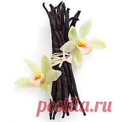 Купить Ваниль бурбонная ЭКСТРА, 1 стручок по цене 35.00 грн. Аюрведа Veda Life f.hdtlf