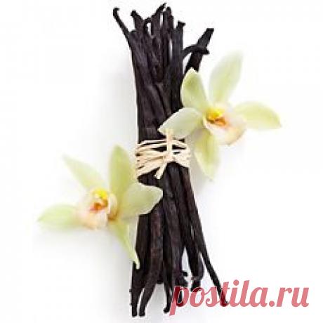 Купить Ваниль бурбонная ЭКСТРА, 1 стручок по цене 35.00 грн. Аюрведа Veda Life f.hdtlf