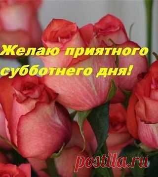 GRdi7t00ucU.jpg (320×359)