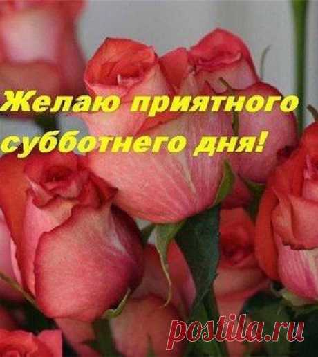 GRdi7t00ucU.jpg (320×359)
