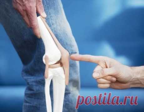 Boli ale articulațiilor șoldului și genunchiului: horowiki — LiveJournal