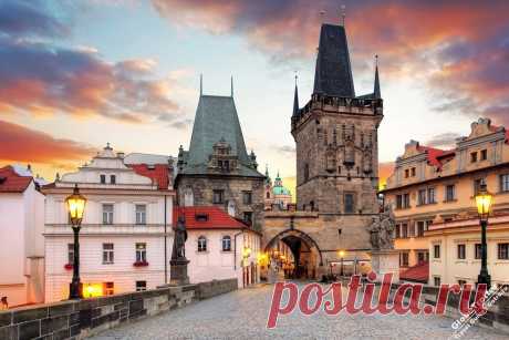 Поиск в Google