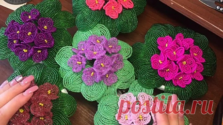 Фиалка. Мастер-класс