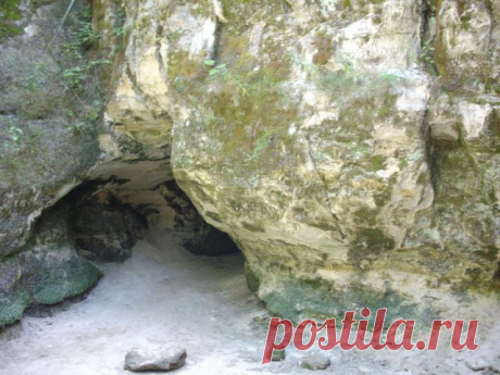 парк Тойла-Ору. Из личного  альбома.