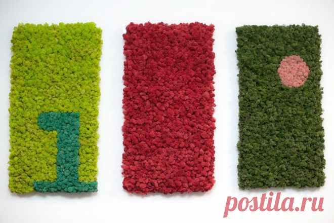 Картина из мха своими руками - инструкция и советы в Москве и МО Дары природы способны украсить любое помещение, добавив в него нотки леса и уюта. Но ставшее классическим денежное дерево или кактус уже не способны произвести должный эффект. Чего не скажешь о стеновых панелях из мха. Дорого, экзотично и привлекательно – так можно описать картину из мха своими руками, фото позволят вам в этом убедиться. Выделяют несколько […]