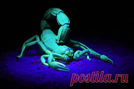 5 знаков зодиака, которым нравится играть роль жертвы