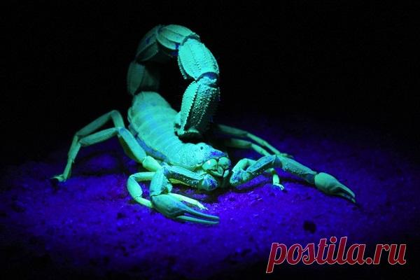 5 знаков зодиака, которым нравится играть роль жертвы