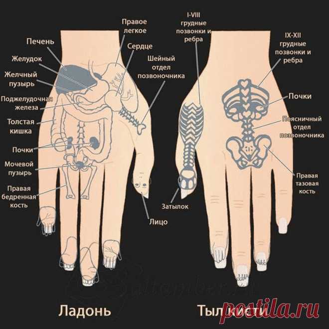 Китайские шарики: способ сохранить здоровье, не вставая с дивана