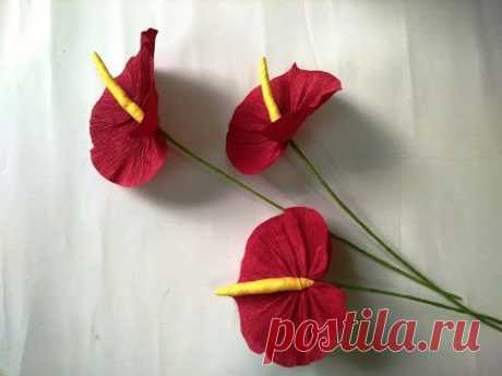 DIY - craft tutorial How to make paper flower - Anthuriums - Làm hoa hồng môn giấy nhún
