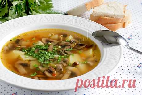 Грибной суп из шампиньонов и картофеля — рецепт с фото пошагово