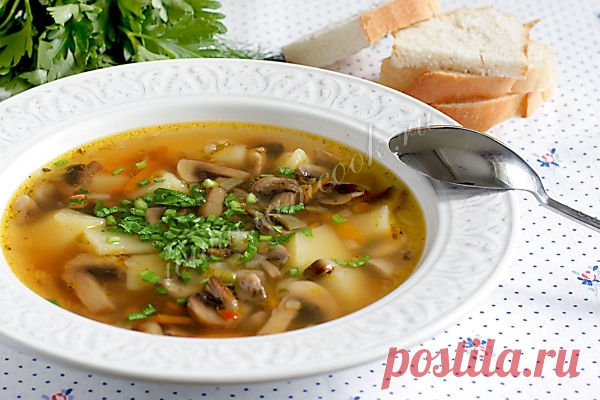 Грибной суп из шампиньонов и картофеля — рецепт с фото пошагово