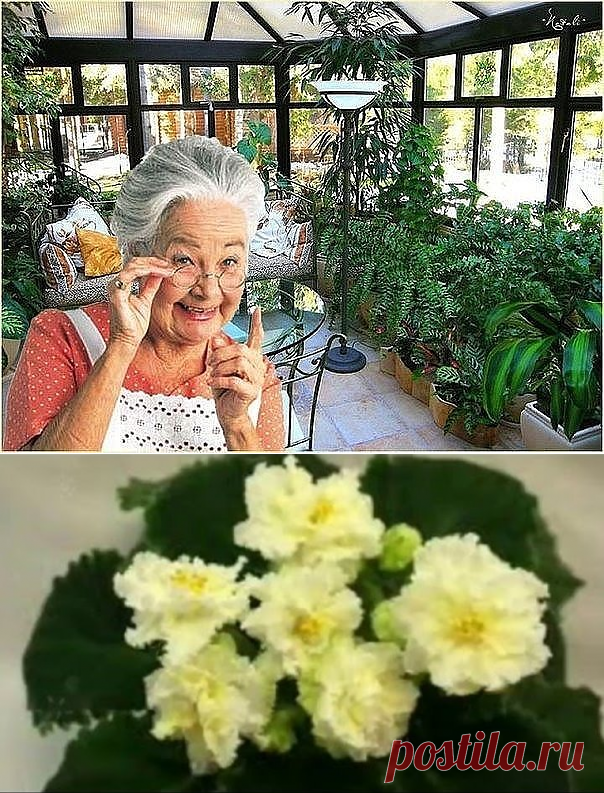 Одноклассники