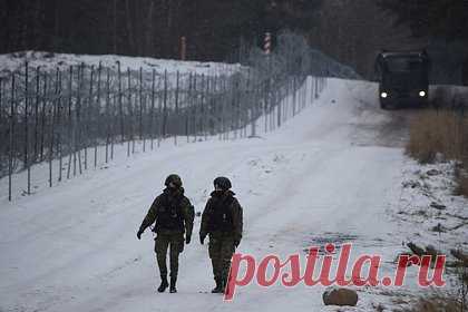 Пограничники вернули на родину сбежавшего в Белоруссию из европейской страны пса. Гражданка Литвы обратилась в Госпогранкомитет Белоруссии с просьбой поискать ее пса. Литовка связалась с пограничниками через социальные сети и рассказала, что ее собака убежала от нее и пересекла границу с Белоруссией недалеко от города Сморгонь. Сотрудники откликнулись на просьбу о помощи и вскоре нашли пса живым.