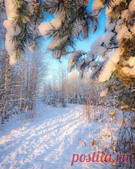Зимняя красота