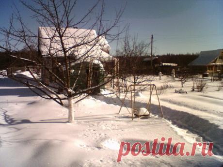 Заботы и работы садовода в марте. Сберечь деревья и талую воду