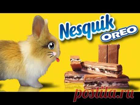 Кролик БАФФИ и OREO NESQUIK! Как сделать своими руками ОРЕО НЕСКВИК?