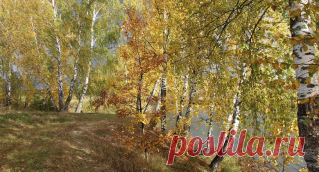 Галина Крыжановская
63 года, Россия, Чехов