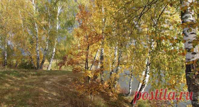 Галина Крыжановская
63 года, Россия, Чехов