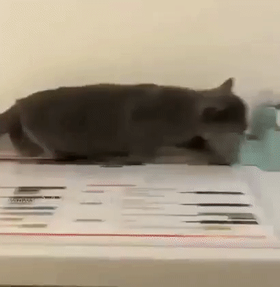 Когда пришли гости с детьми