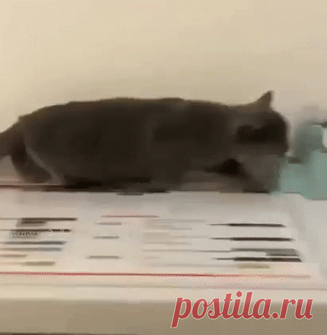 Когда пришли гости с детьми