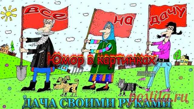 Анекдоты в картинках про дачу. Май, Труд, Картошка. Фото приколы юмор. ☻ Про дачу. Май, Труд, Картошка. Анекдоты в картинках дача и дачник. Анекдоты в картинках для взрослых. Фото приколы. Анекдоты в картинках. Карикатуры про дачу.
------------------------
☺ ох уж это дача приколы, анекдоты про дачу и дачников с юмором, смешное видео отдых на даче сезон открыт приколы с юмором, анекдоты в картинках дача, юмор картинки приколы анекдоты.
-----------------------
Канал
#дачный...