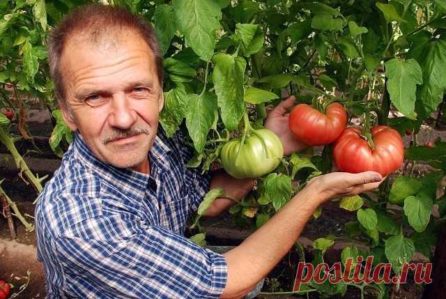 2 непрочитанных чата