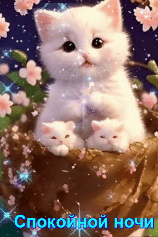 Спокойной ночи