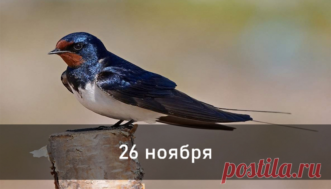 11 солнечный день - Авестийская астрология