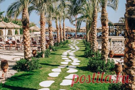 Раскрыта оптимальная стоимость проживания в отелях Хургады зимой. Российским туристам раскрыли оптимальную стоимость отдыха в отелях Хургады в зимний период. Так, средняя стоимость проживания в гостинице категории три звезды в двухместном номере составляет 600 египетских фунтов за одну ночь. Дороже стоит размещение в четырехзвездочном отеле — от 800 египетских фунтов.