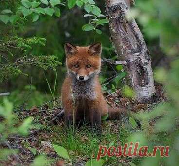 (3) Мой Мир@Mail.Ru