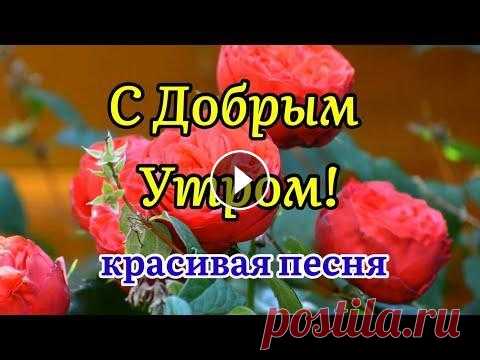 С Добрым Утром! Песня За Душу Берет! Послушайте! Трогательные Стихи! Музыкальная Открытка Пожелание С Добрым Утром! Песня За Душу Берет! Послушайте! Музыкальная Открытка Пожелание! Чтобы поделиться этим красивым пожеланием с друзьями и, ссылка здесь:...