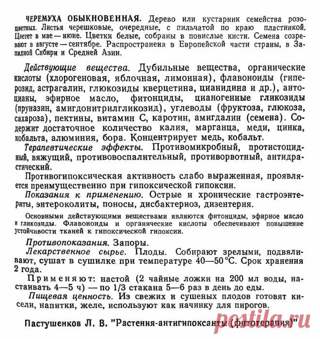 Черемуха обыкновенная