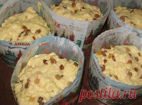 Александрийское тесто (для куличей) 
Совершенно потрясающие куличи! Сладкие, нежные, мягкие... Вкуснее я не ела в жизни! Рецепт бабушкин, готовит она по этому рецепту уже несколько десятков лет. 

С порции получается очень много куличей, смело делите количество на 2, 3, 4... 1 л. топленого молока; 1 кг. сахара; 500 гр. слив. масла; 10 яиц; 3 желтка; 150 гр. свежих дрожжей. Яйца слегка взбить, масло порезать кусочками, смешать все продукты с теплым молоком и оставить в тепл...