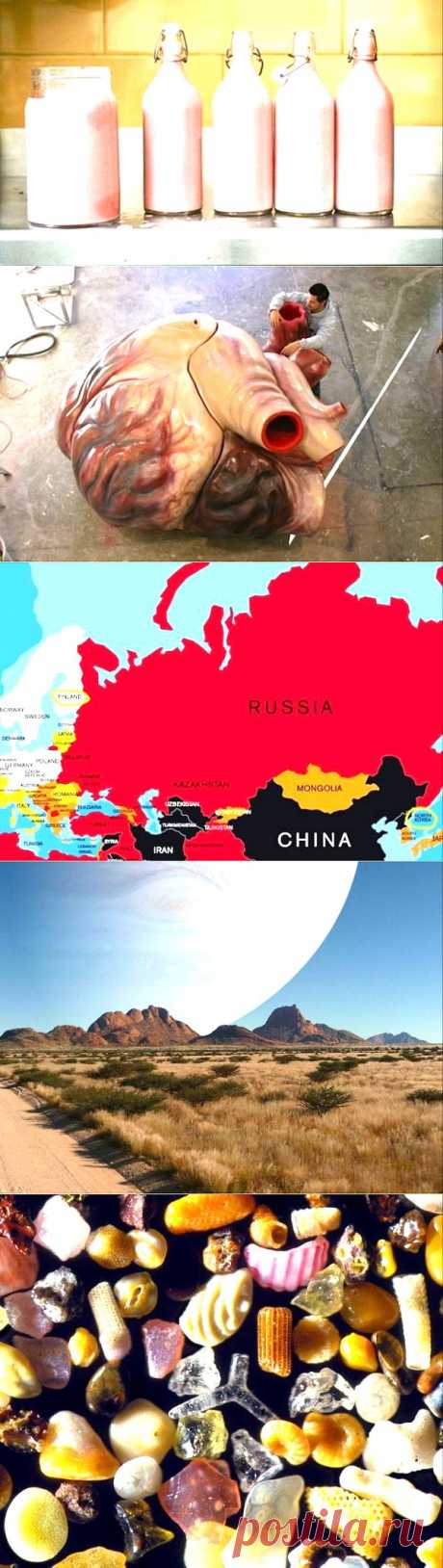 Ложь, которая на самом деле правда / Научный хит