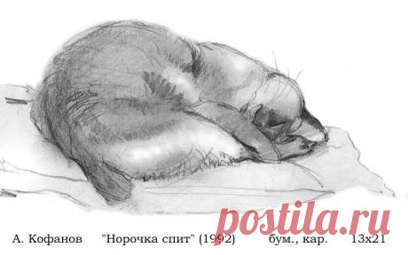 Одноклассники