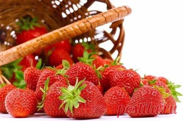 уход за клубникой