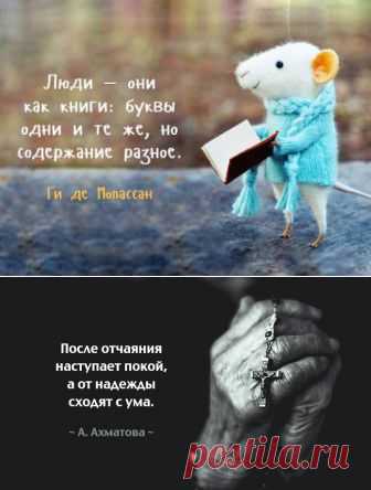 Мысли, над которыми хочется задуматься | Полезные советы