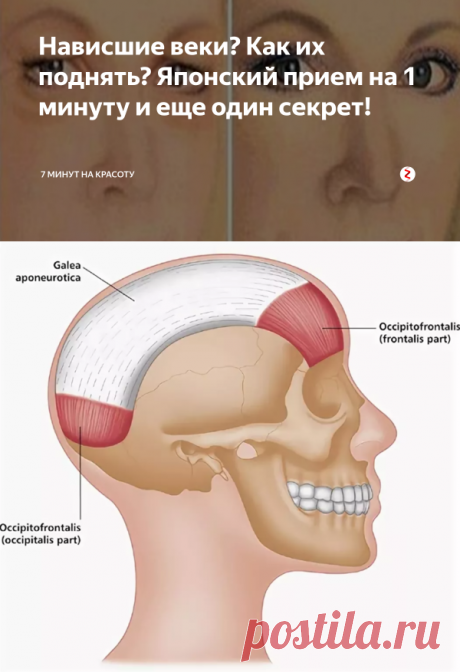 Нависшие веки? Как их поднять? Японский прием на 1 минуту и еще один секрет! | 7 минут на красоту | Яндекс Дзен