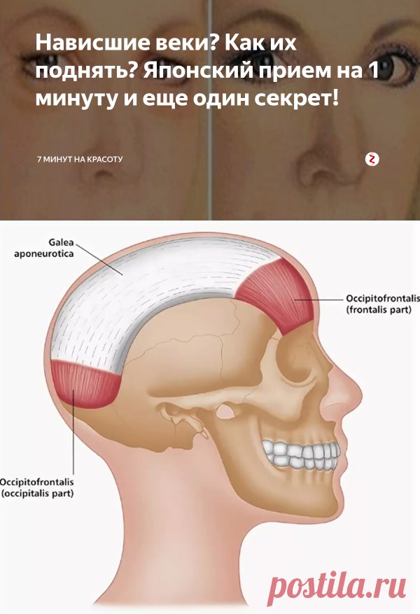 Нависшие веки? Как их поднять? Японский прием на 1 минуту и еще один секрет! | 7 минут на красоту | Яндекс Дзен