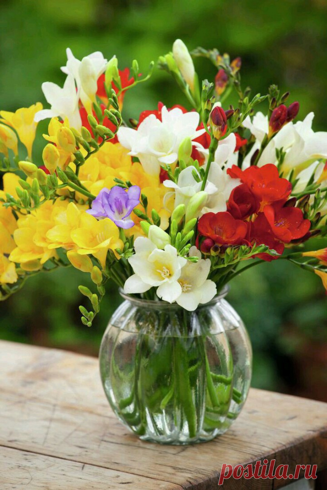 Я люблю ✿ ЦВЕТЫ ✿ | I ♥ Flowers