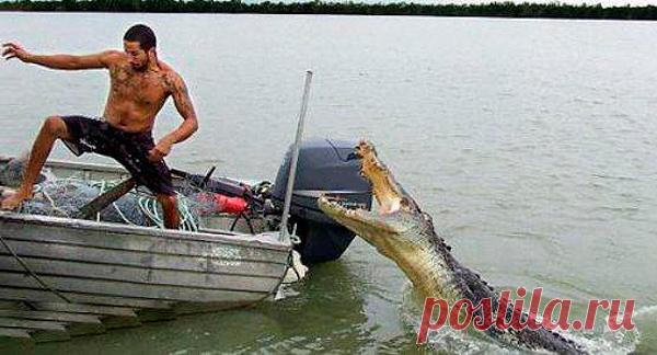 Приколы на рыбалке видео - Рыбалка