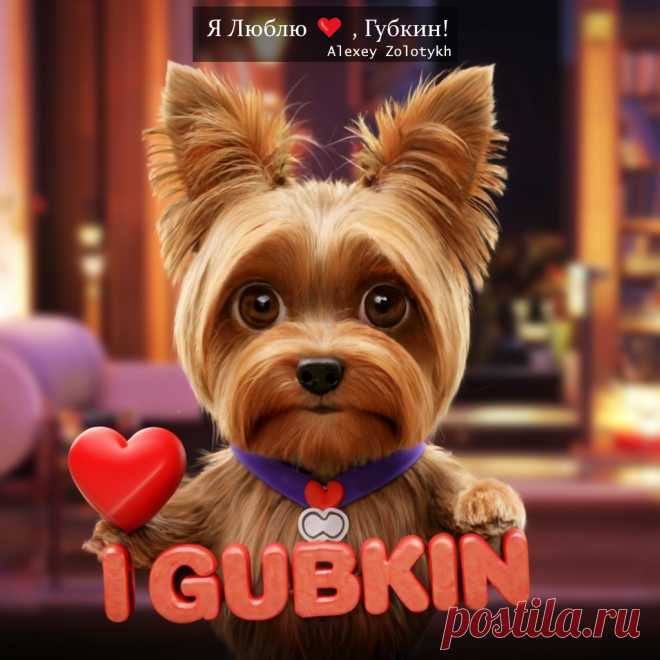 Люблю 💖, Губкин