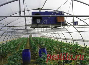 Вентиляция в теплице: делаем своими руками, характеристика видов, как сделать выбор, советы по установке