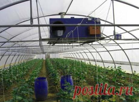 Вентиляция в теплице: делаем своими руками, характеристика видов, как сделать выбор, советы по установке