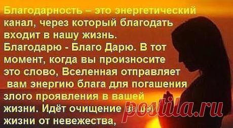 Какая-то странная сказка, - думала Красная Шапочка, задумчиво жуя 
пирожки, которыми угощал ее Волк.
- Ты меня специально откармливаешь, чтобы потом съесть?
- Да что там с тебя съешь? - грустно вздохнул Волк. - Я просто хочу 
научить тебя ПРИНИМАТЬ... а ты все отдавать, отдавать...Ты вот не 
Показать полностью…