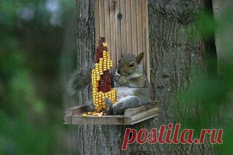 Интересные новости