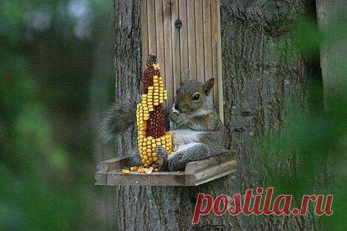 Интересные новости