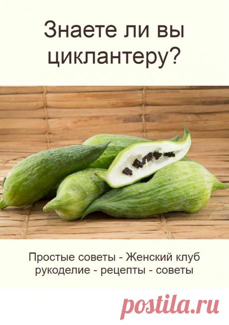 Знаете ли вы циклантеру?